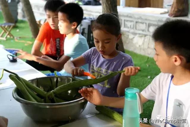 济南比较好的小学生夏令营,山东小学生夏令营