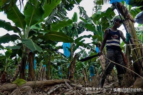 拉丁美洲暴力原因,拉丁美洲血泪史