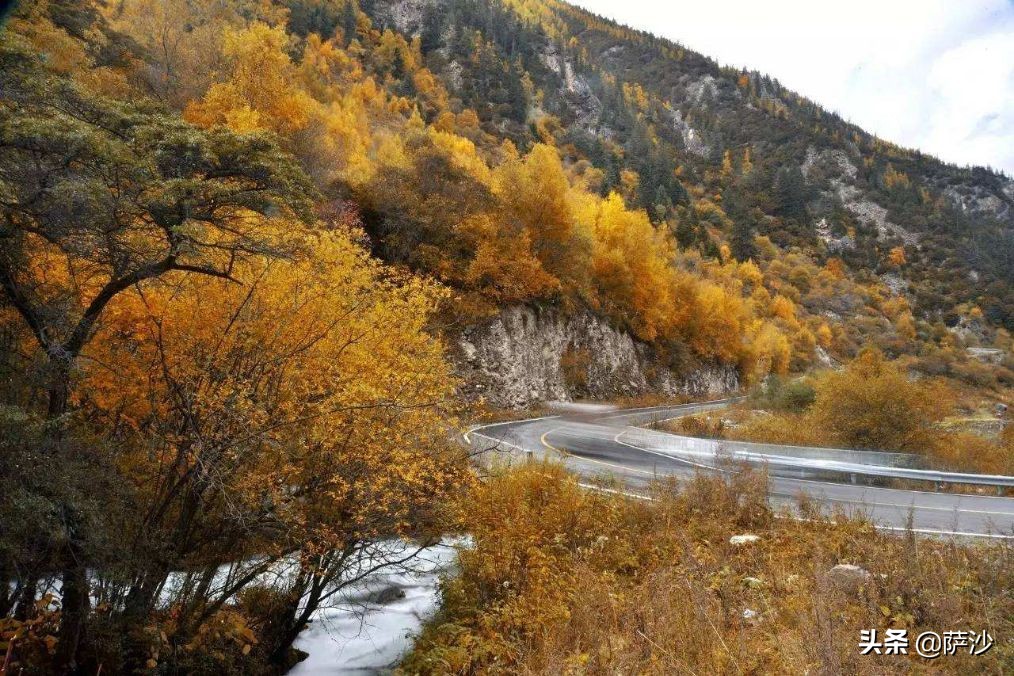 熊猫是如何被发现的英文版,熊猫是哪一年被人类发现的