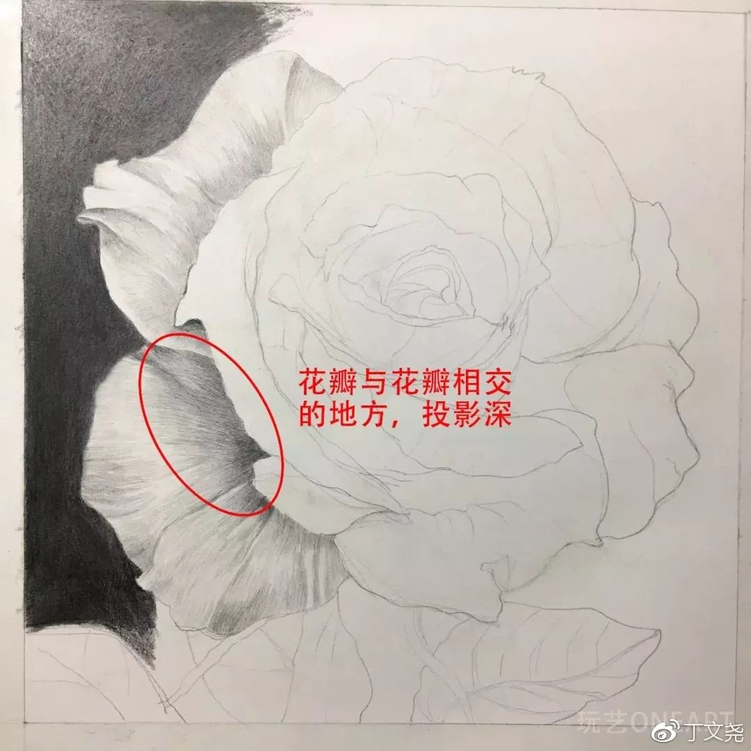 素描基础绘画教程郁金香,素描丁程鑫详细教程