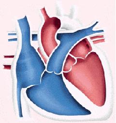 下身有味道?可能是这个疾病,身上有这些异味也不能忽视