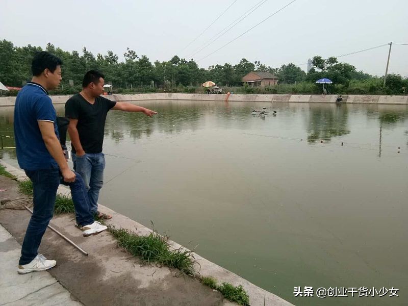 泥鳅养殖现在做什么最赚钱,如何养殖泥鳅创业