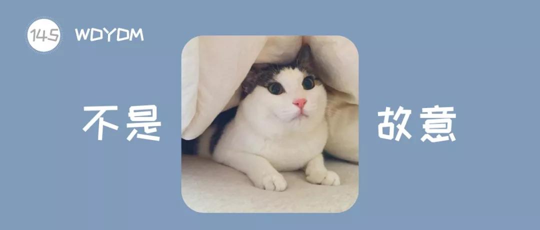 铲屎官常见问题,新手铲屎官发现猫咪拉肚子