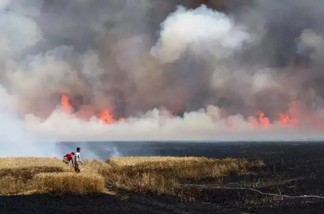 2019年地球进入小冰期,地球是大灾大难还是地球末日