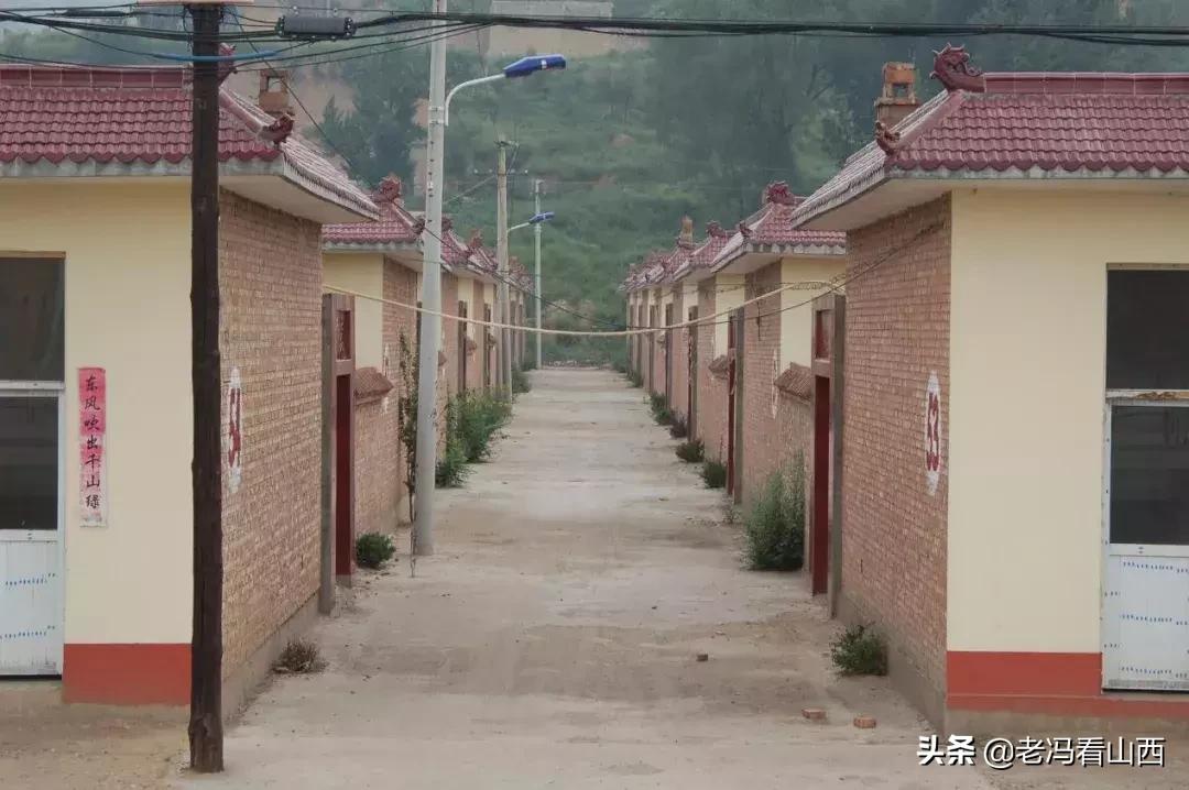 山西忻州静乐天地藜麦,山西静乐县杂粮