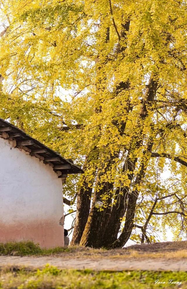 广东最值得去的十个地方,广东梅州桥溪古韵值得一去吗