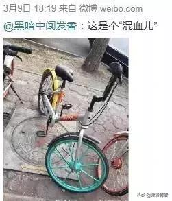 共享单车变身“混血儿”?!网友:介得装仨APP才能扫得开吧……