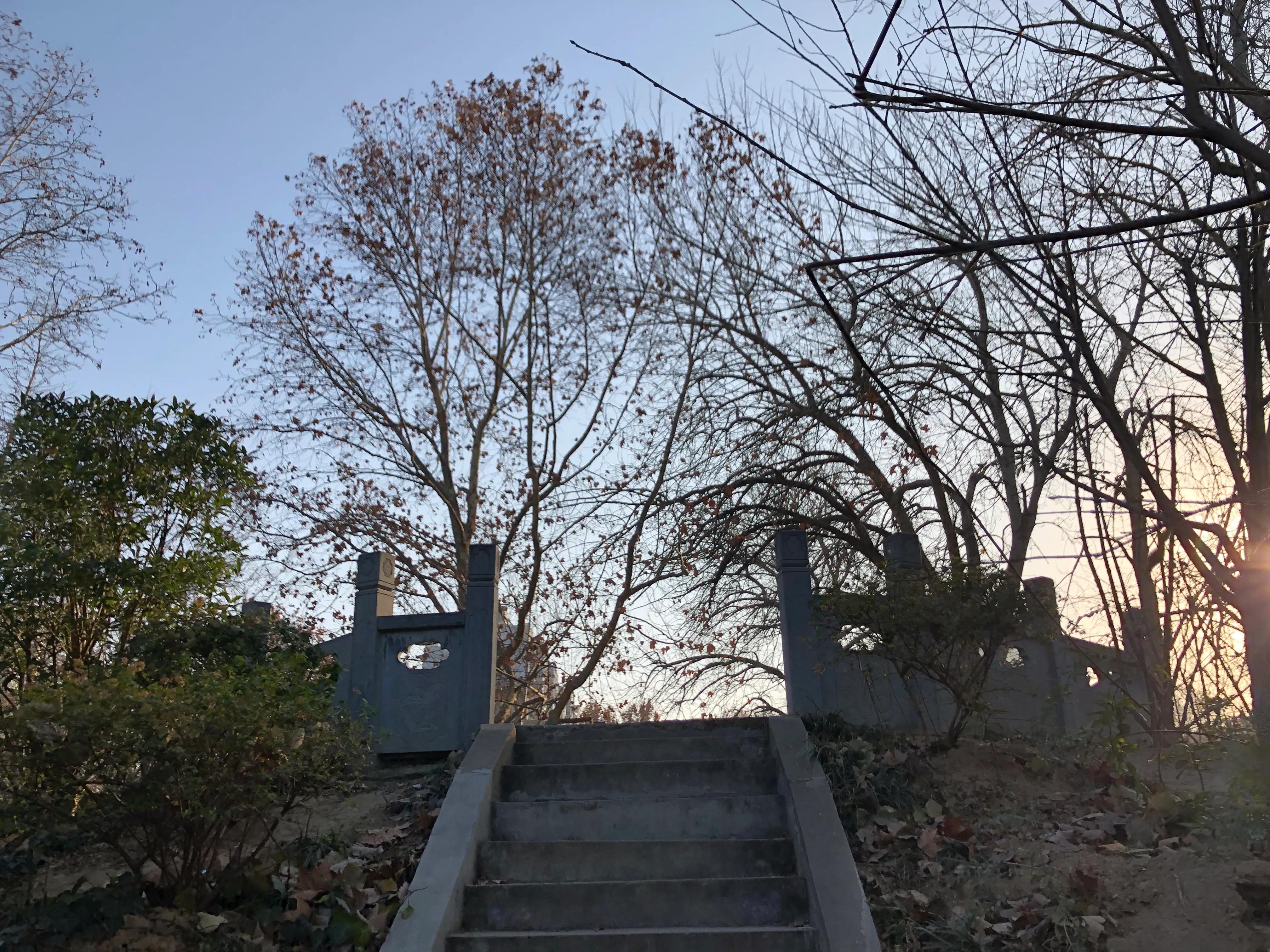 平顶山河滨公园旅游攻略,平顶山森林公园游记