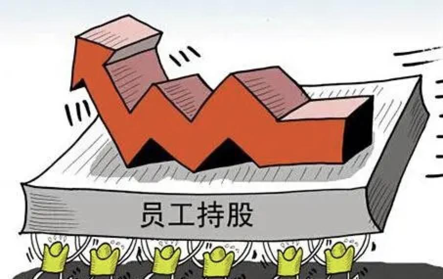 创业公司如何合理的股权分配,四人初创公司如何做股权分配