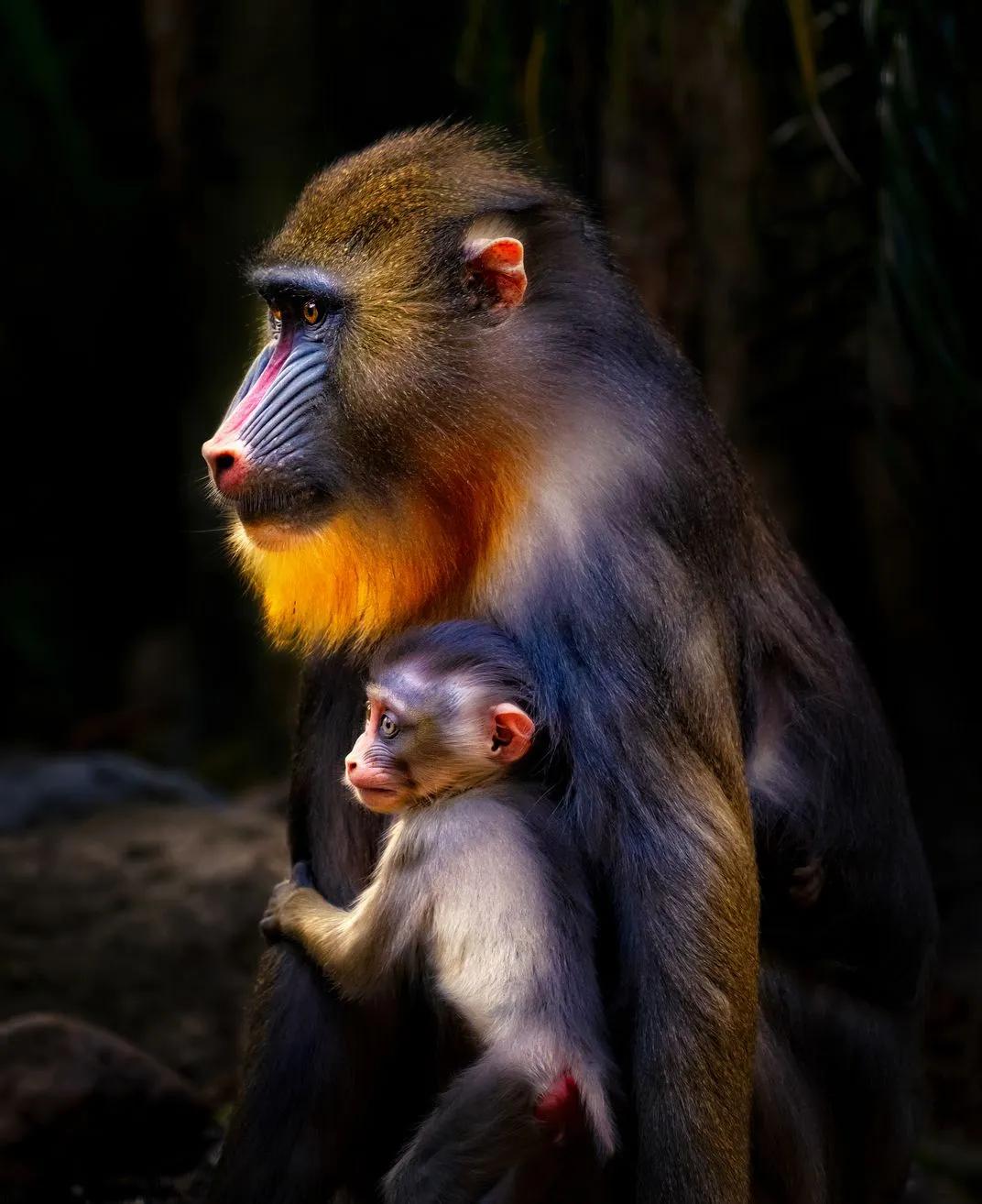 想成为摄影大神你得先过这一关,想要成为一名优秀的风光摄影师