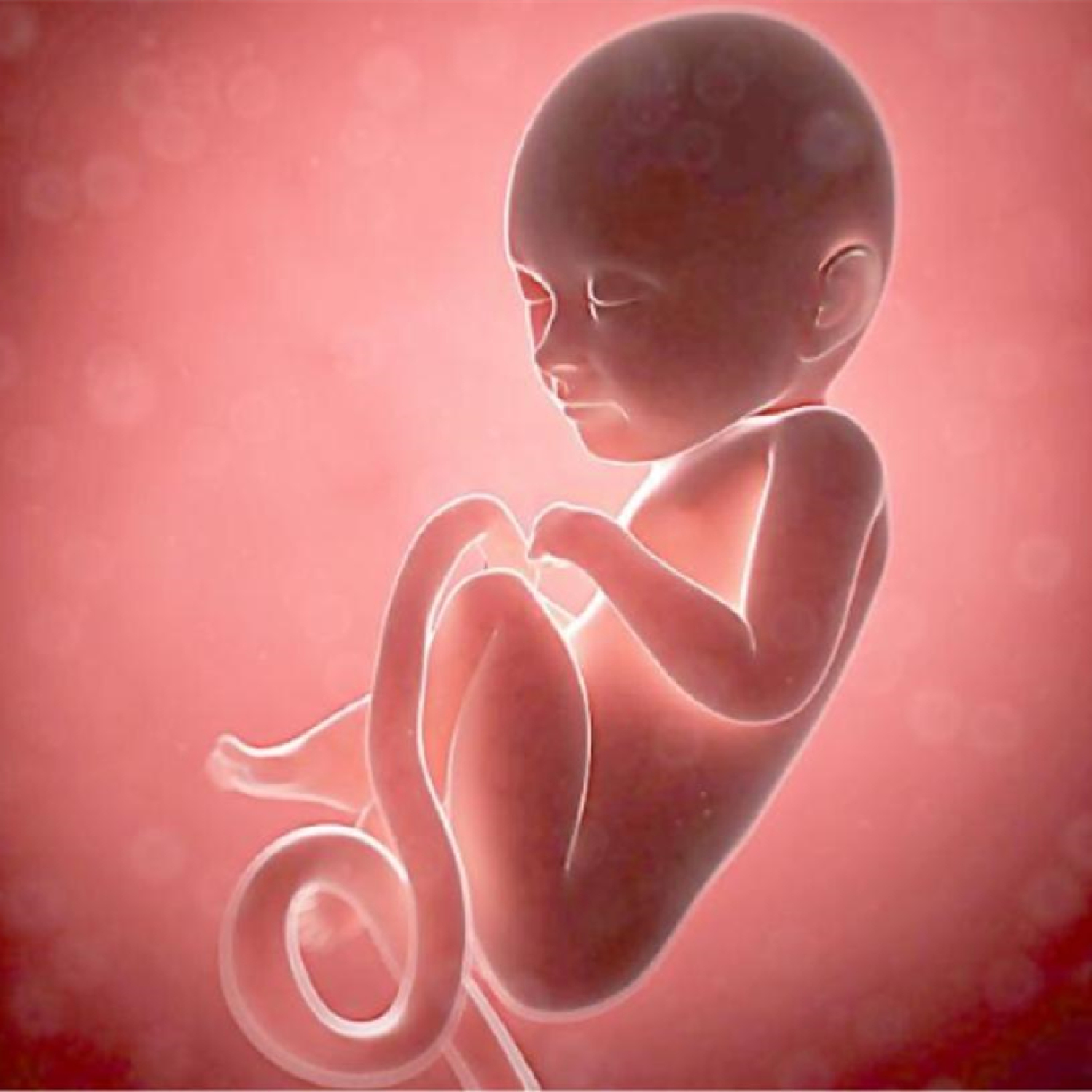 孕期侧睡胎儿踢腰部,孕期胎儿经常踢左侧肋骨