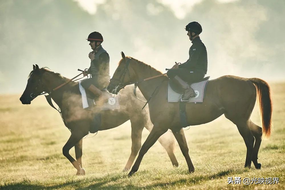 2022年度的ipa摄影大赛获奖作品,2020ippa摄影大赛奖项公布