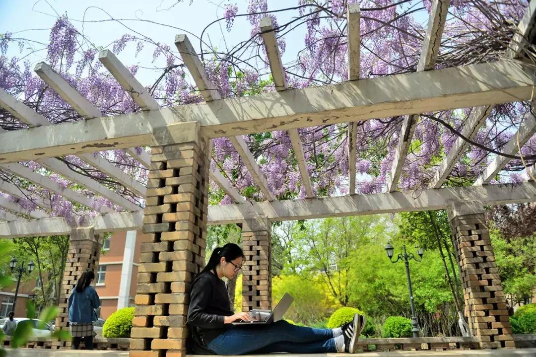 天津桃花堤赏花时间2021,天津桃花堤桃花什么时间开花