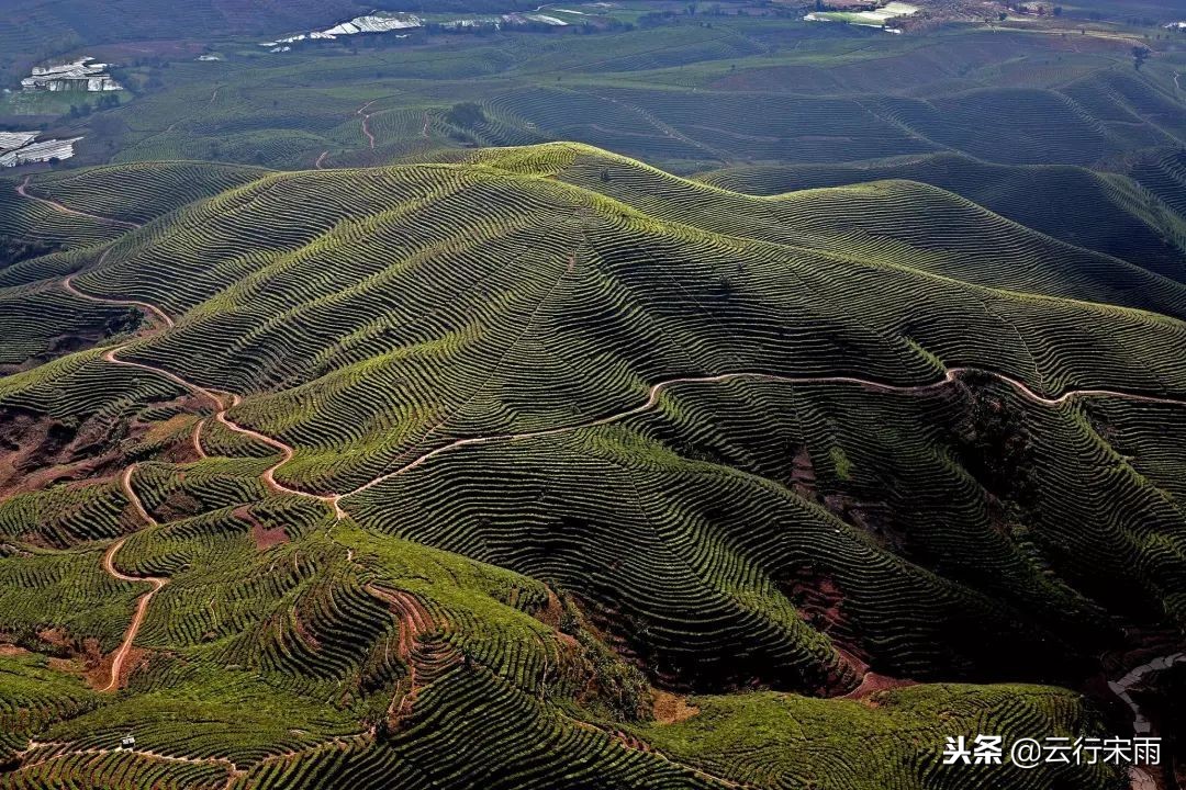 八天七夜云南旅游,八天七夜旅游云南