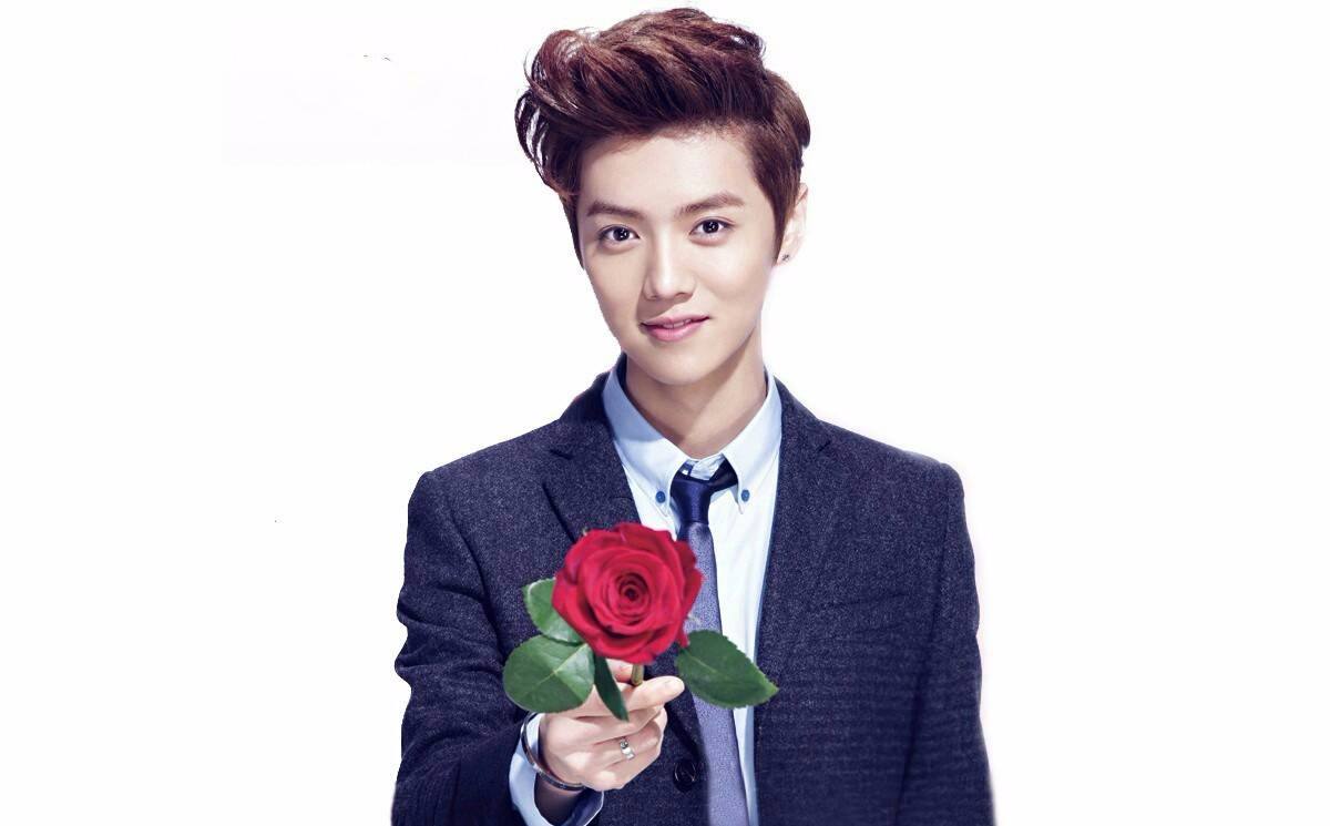 你送给情人的玫瑰其实是八味药,爱她别忘告诉她