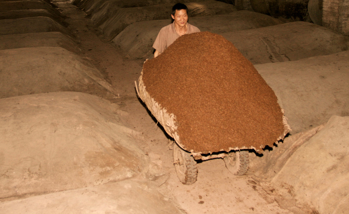 五粮液本色原酒52度多少钱一瓶,五粮液本色原酒450ml52度什么价