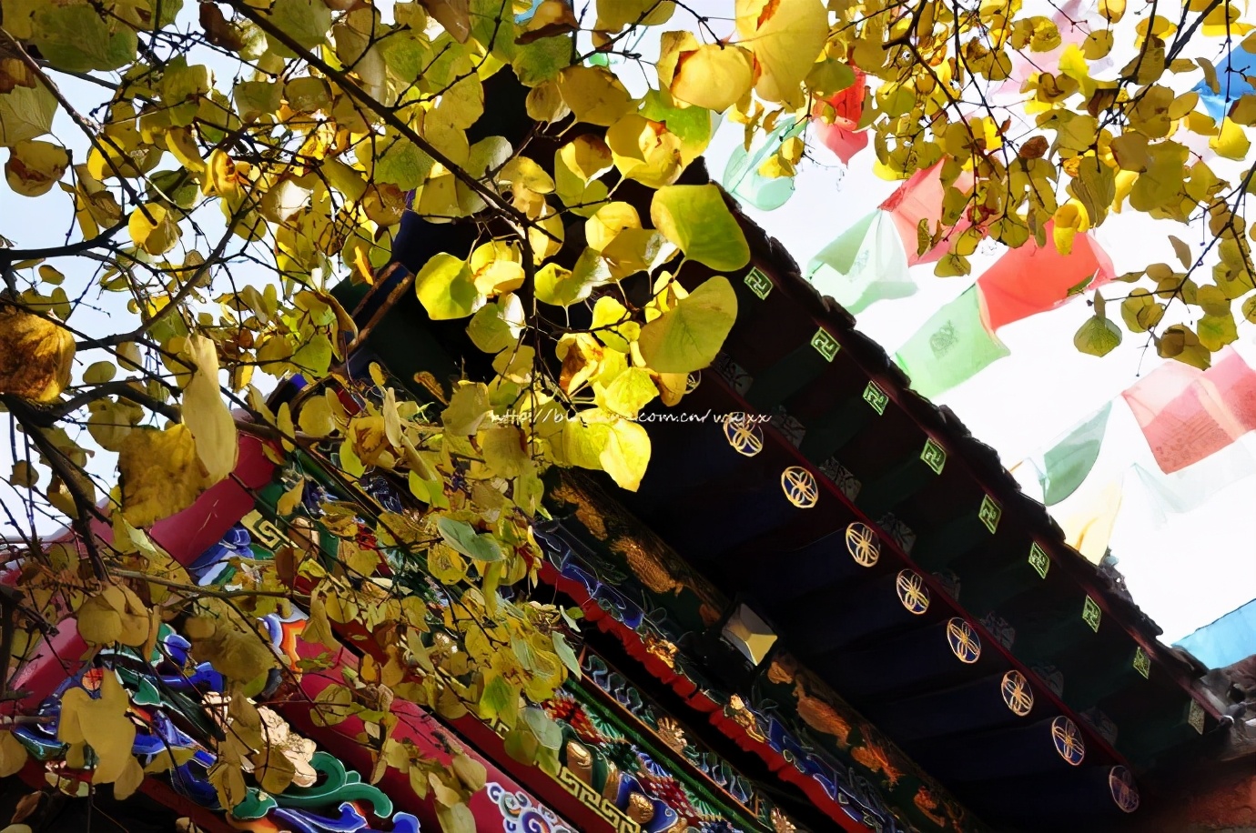 青海西宁是座怎样的城市,西宁是不是最具幸福感城市