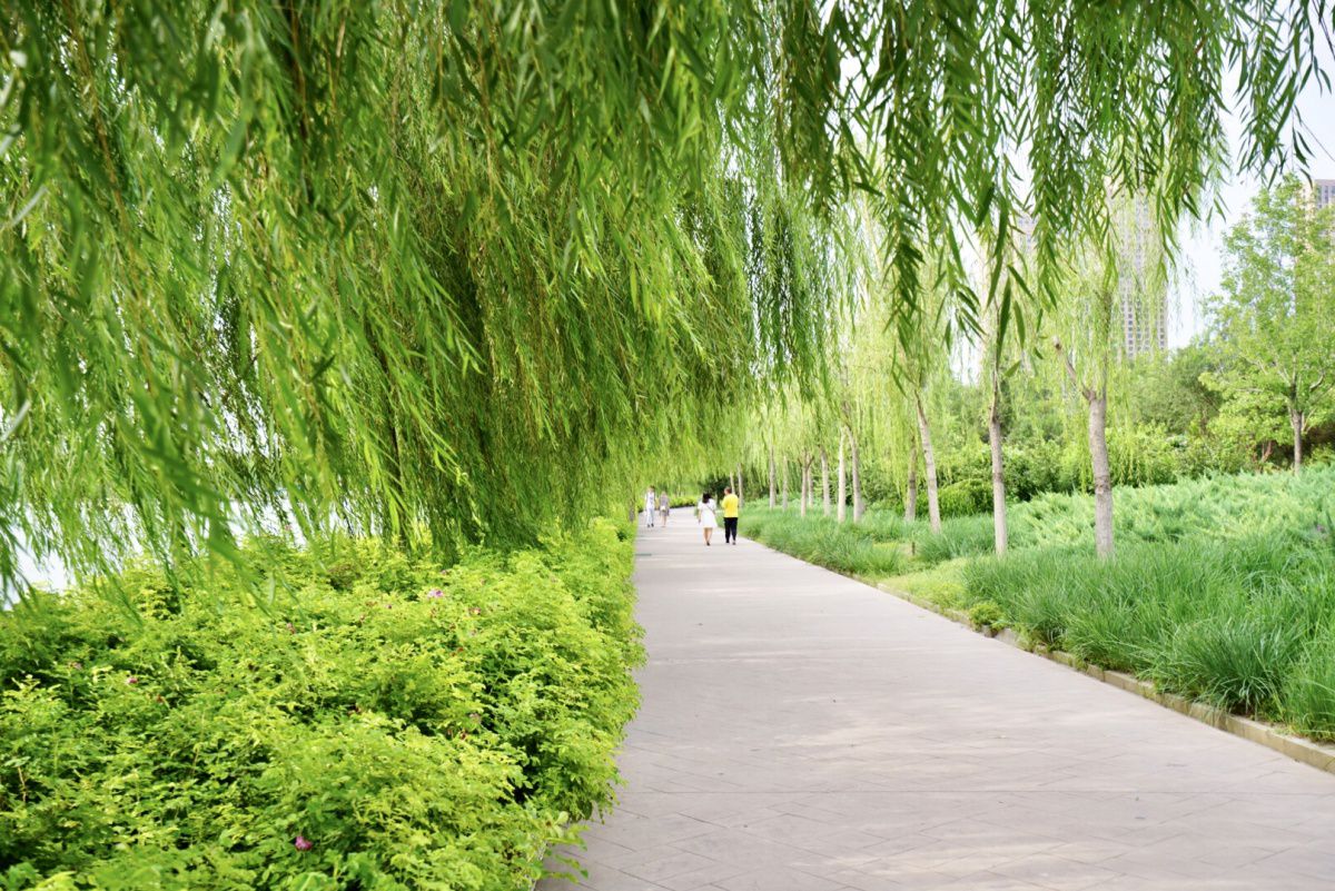 天津鲁能城康莱德酒店,亚太区首家康莱德酒店