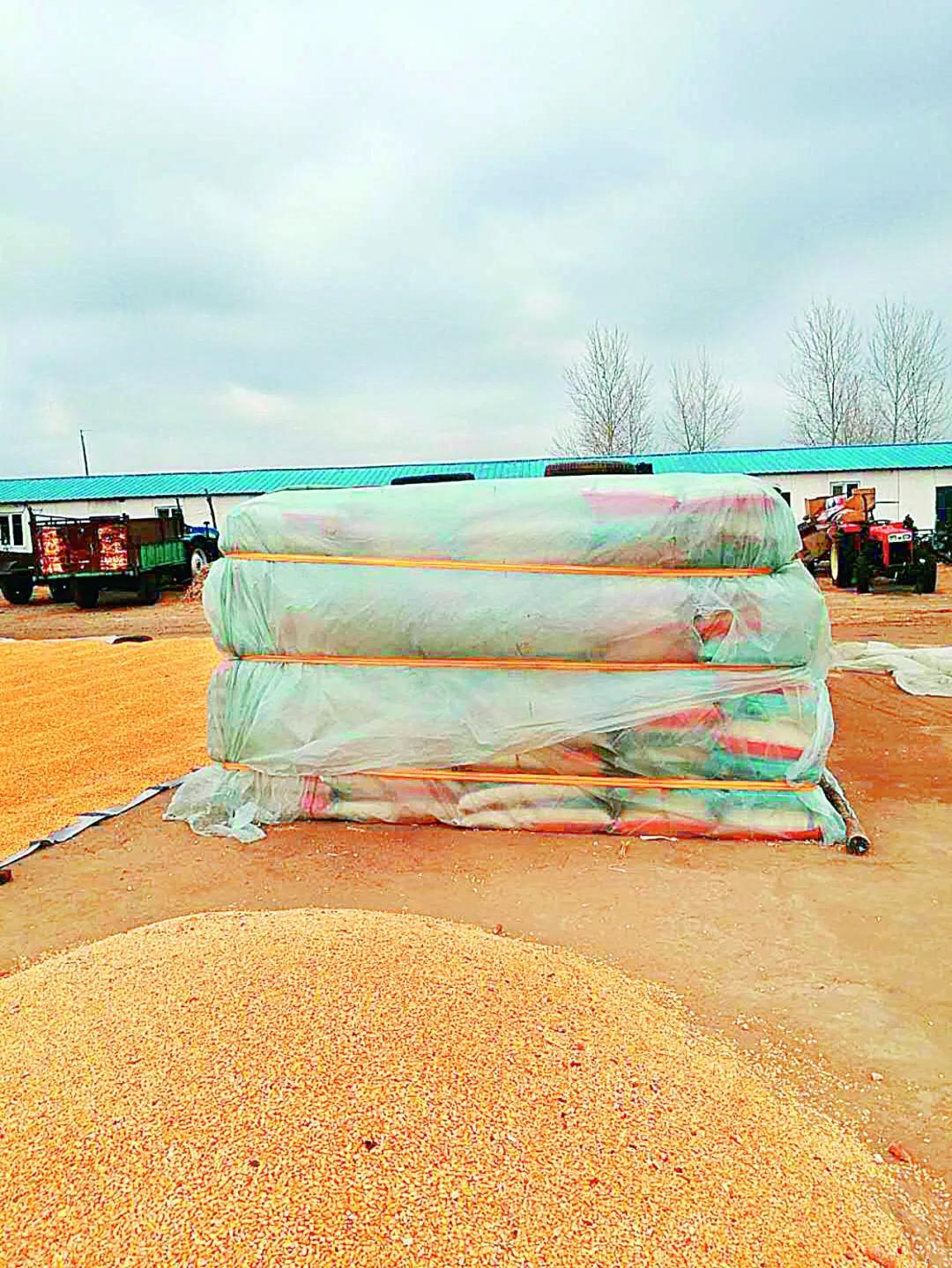 醒来！大庆正在有序恢复生产生活秩序【大庆读本·战疫】