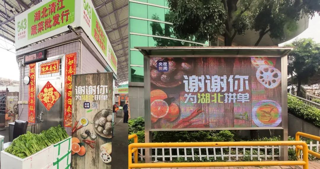 小猪佩奇带货去哪里了,小朱配琦带货清单