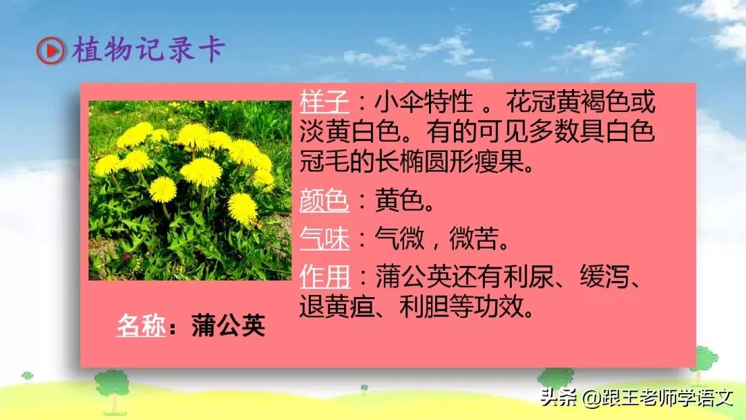 我的植物朋友竹子作文三年级300字,三年级下册我的植物朋友习作评语