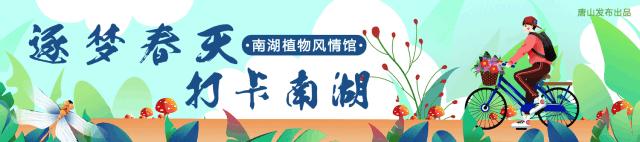 唐山市哪里有幼儿园,唐山足球特色幼儿园