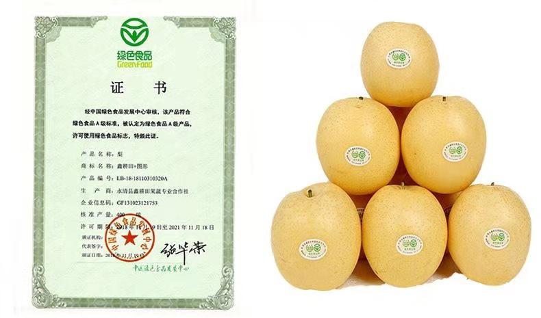 廊坊第二十四届农产品展销会,2024廊坊食品展览会