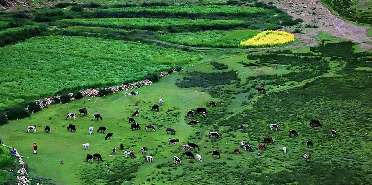 阿里大北线之穿行 (走过大北线的阿里巴巴)