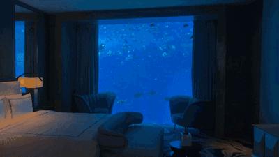 三亚值得去的高端酒店,三亚豪华海景酒店自由行