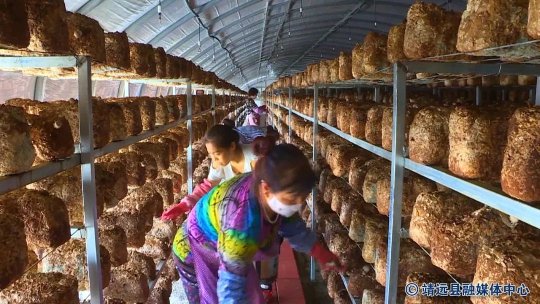 闈栬繙鍘挎渶鏂板ぇ浜嬩欢,2019闈栬繙鏂伴椈