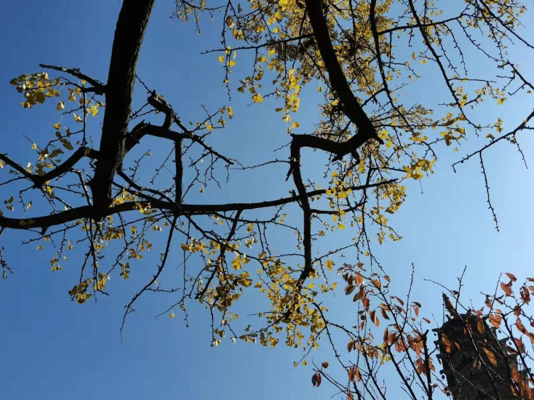 行走｜物华天宝宝华山