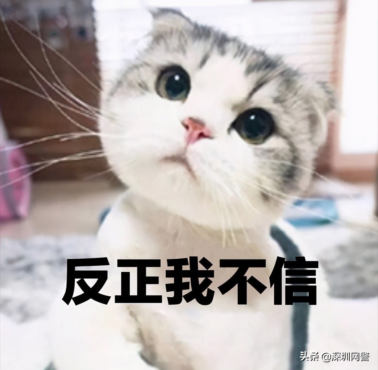 骗你转账的方法原来有这么多？轻信一种你就“输”了！