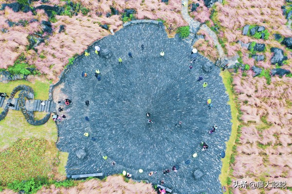 重庆这片花海你还没有来打开，那你就输了