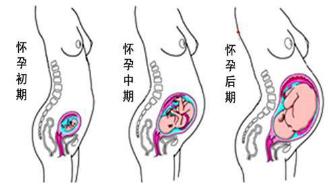盆底肌做了没有效果,产后盆底肌瑜伽球锻炼方法