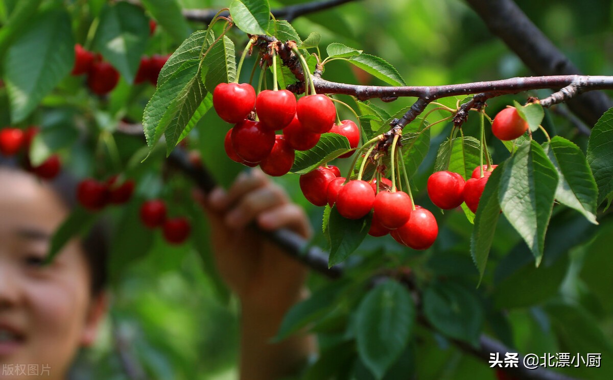 6月份吃什么水果推荐9种时令水果,又脆又甜7月最不容错过的水果