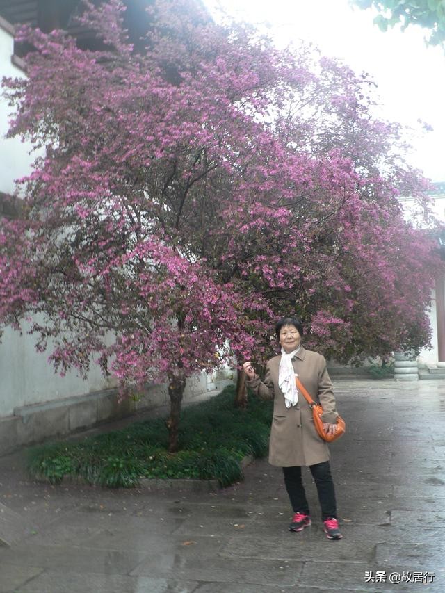 关于江城武汉的诗,江城诗武汉