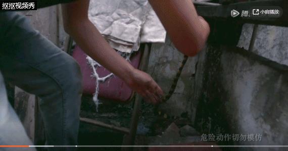 被毒杀的亲情纪录片,相杀相爱纪录片