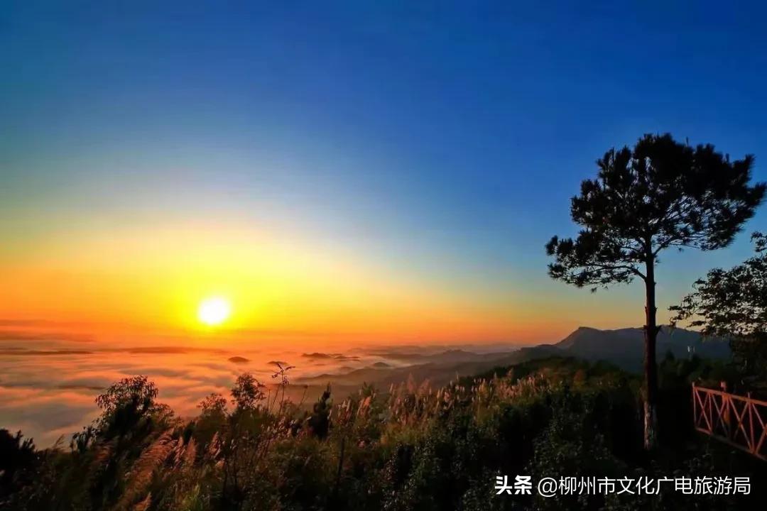 旅游农家乐,旅游休闲两不误