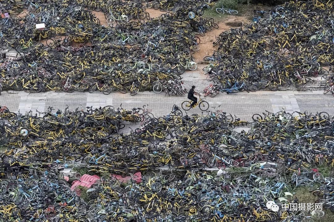 第七届全国摄影十杰获奖者,中国摄影年度人物排名