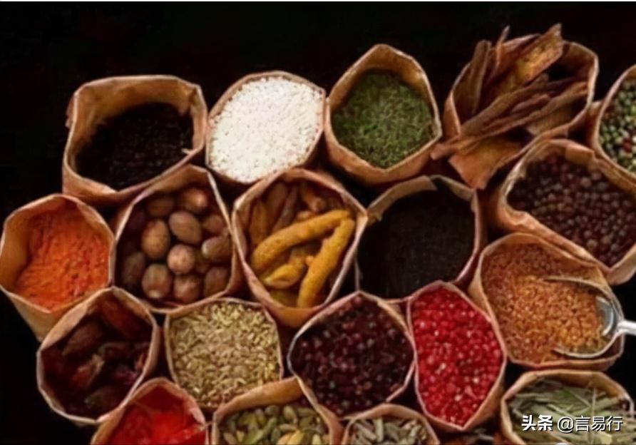 世界上最大的水蛭,世界上最大的水蛭图