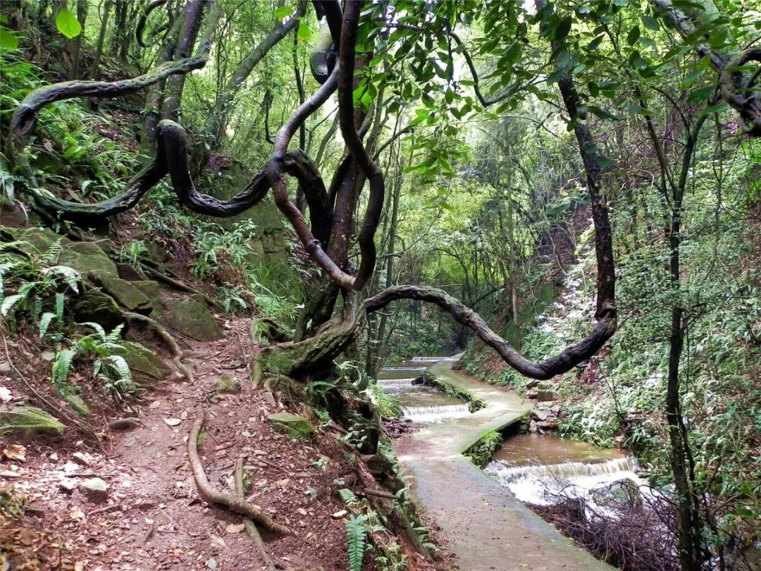 高考结束，暑期来袭，昆明青龙峡放“价”：凭准考证免费入园