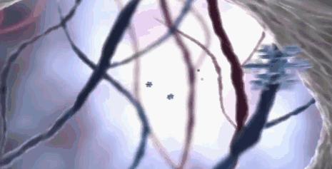 李佳琦牙齿怎么变白的,李佳琦怎么变白的