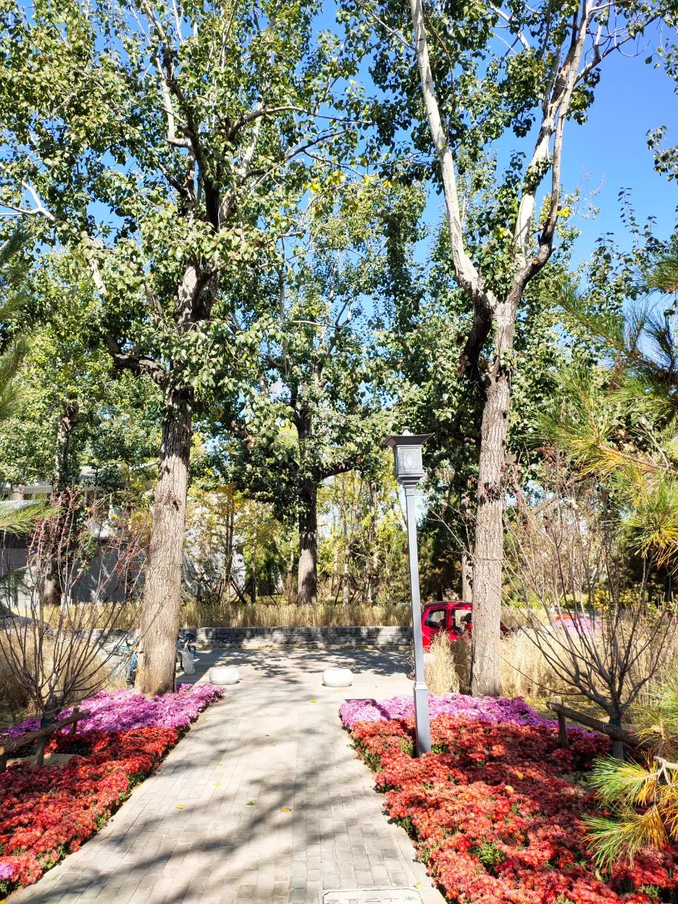 天坛附近公园有哪些,天坛公园周边有什么可逛的