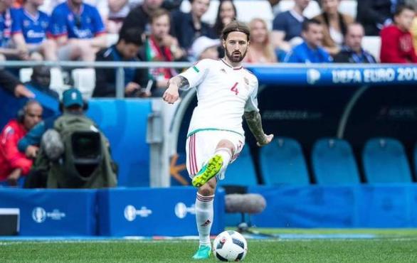 格德斯加盟山东鲁能转会费,山东鲁能外援费莱尼转会费