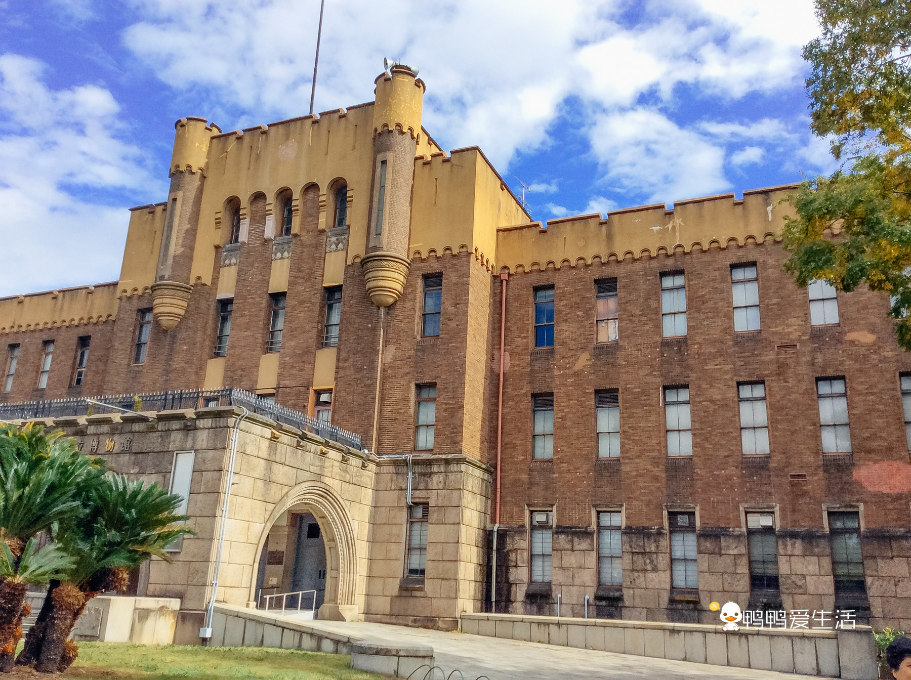 日本大阪最大的公园,日本东京最大公园