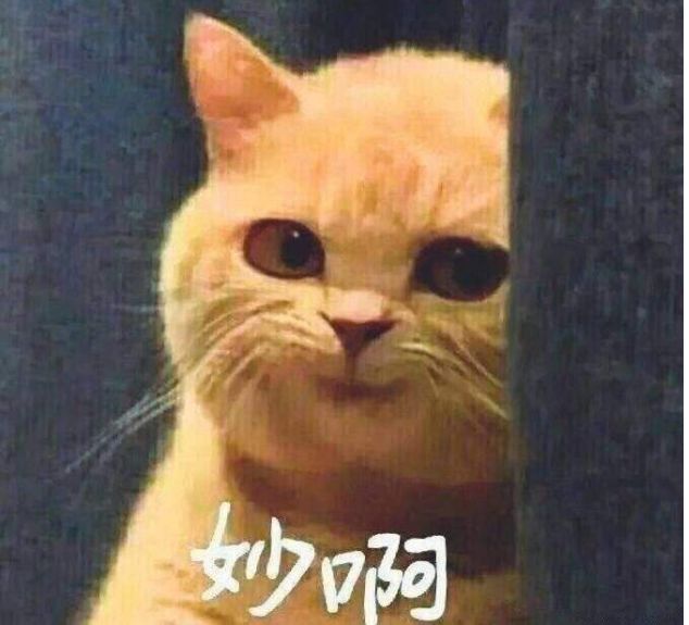 鍘嗗彶鍚嶅闃靛,鍘嗗彶鍚嶅闃靛瀵瑰喅