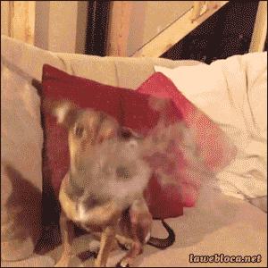 搞笑：老婆：我最近胖了十几斤，现在都快200斤了，要减肥了