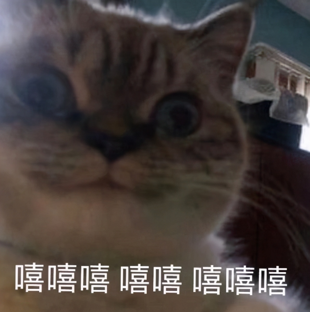 父母不同意大学谈恋爱还要继续吗,父母嫌弃男朋友学历低该怎么沟通