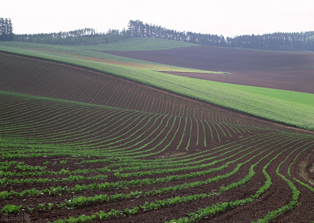 黄冈市2020第四季度开工项目,黄冈重点项目第四季度