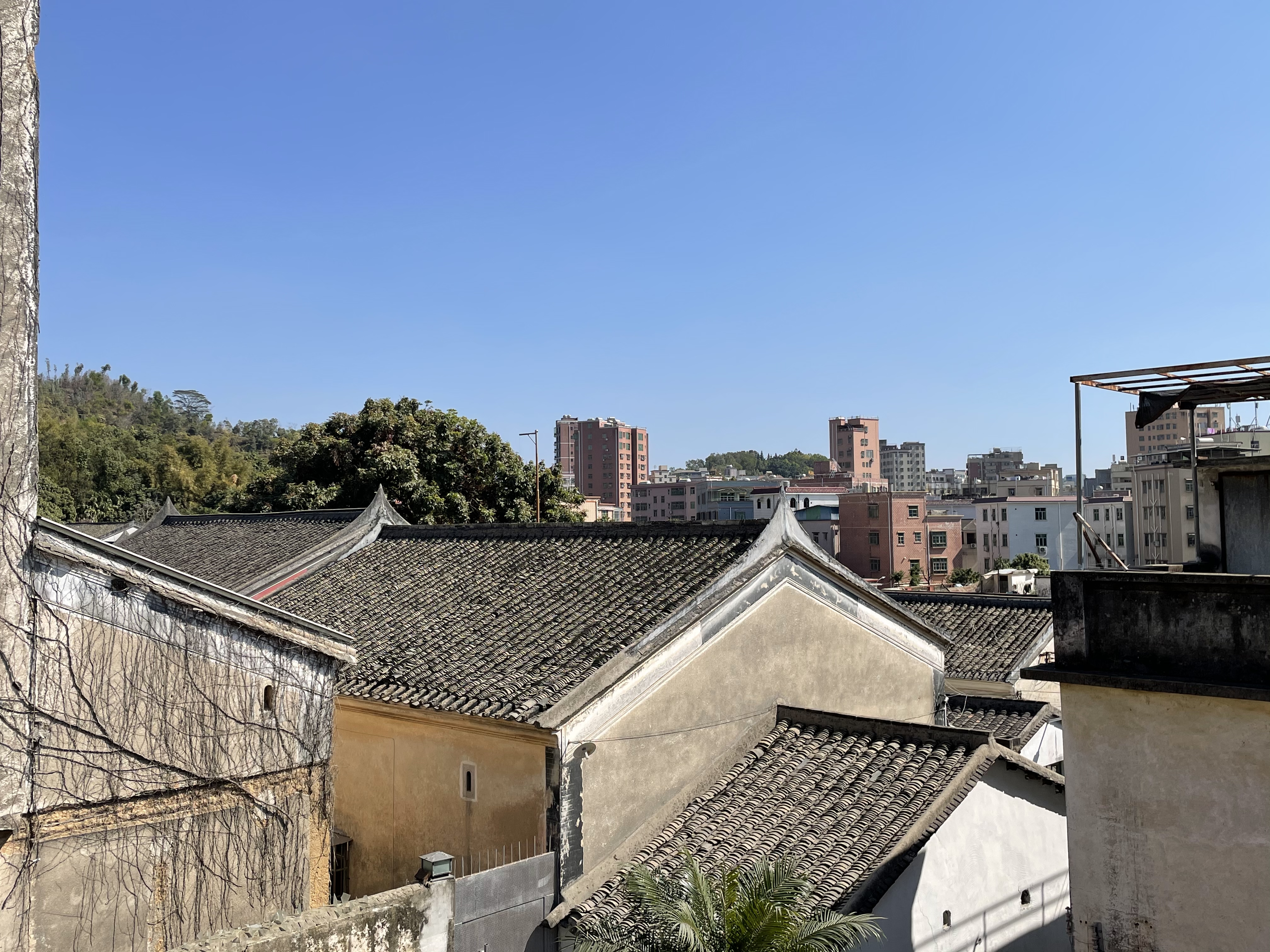 今日深圳龙华旅游攻略,深圳周末龙华去哪玩推荐